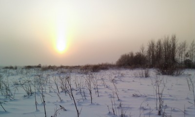 IMAG0724.jpg