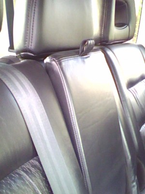 IMG0208A.jpg