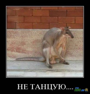 1337248211_demotivatory_rukud_038.jpg