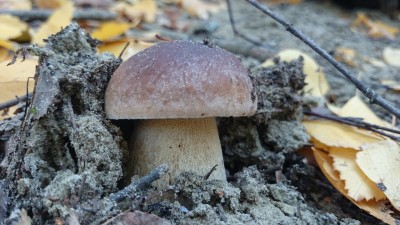 DSC_0080.JPG