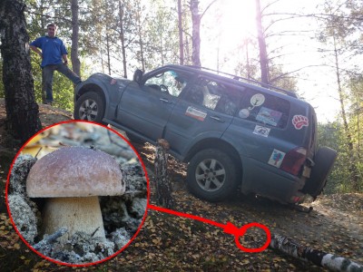 грибок кстати ...