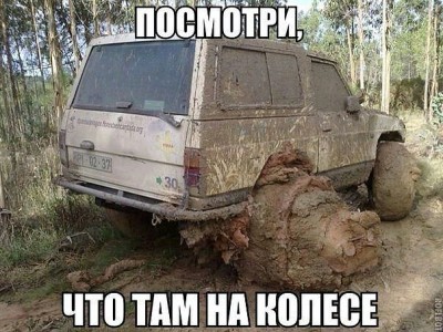 getImage (1).jpg