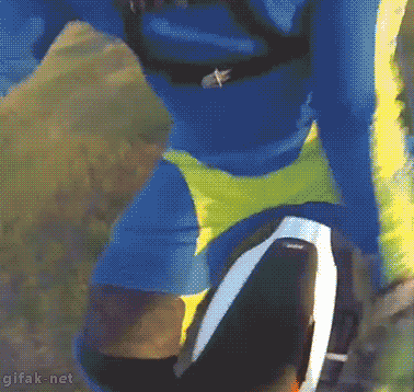 16.gif