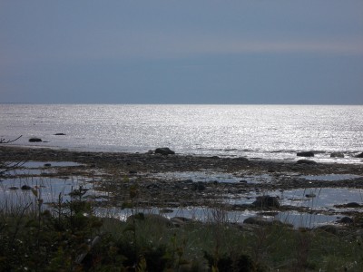 DSCN0373.JPG