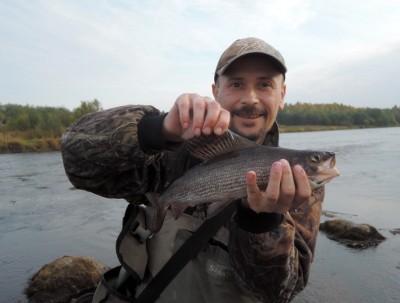 Хариус-1-22.09.2014.JPG