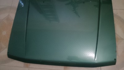 DSC_0073.JPG