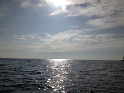 IMG_0798.JPG