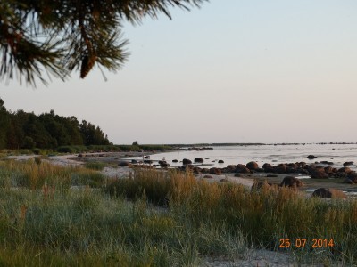 DSC02406.JPG