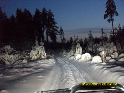 SDC15786.JPG