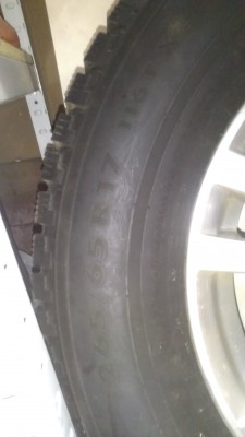 IMAG0616.jpg