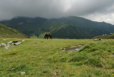 DSC00972_новый размер.JPG