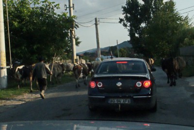 DSC01012_новый размер.JPG