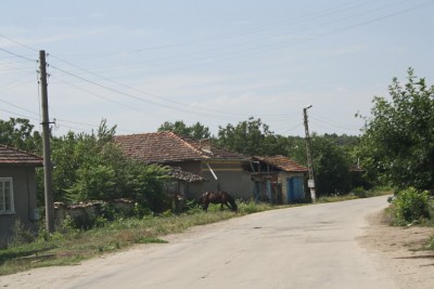 IMG_4860_новый размер.JPG