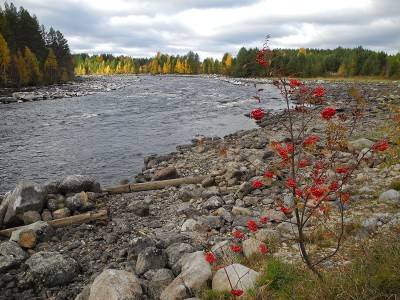DSCN5864.jpg