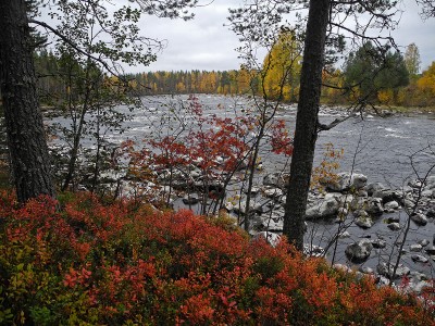DSCN5938.jpg