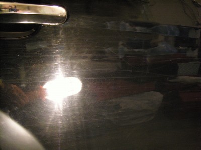 SNC13416.jpg