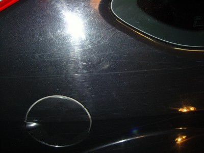 SNC13414.jpg