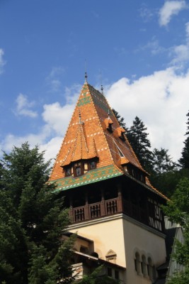 IMG_5657_новый размер.JPG