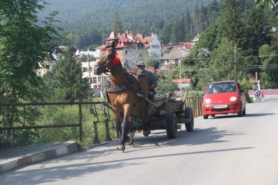 IMG_5809_новый размер.JPG