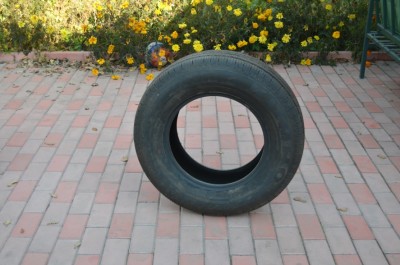 DSC_1544.JPG