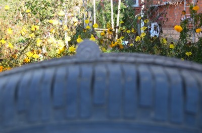 DSC_1546.JPG