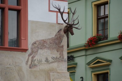 DSC01372_новый размер.JPG