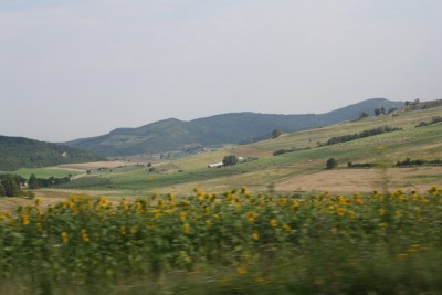 IMG_6400_новый размер.JPG