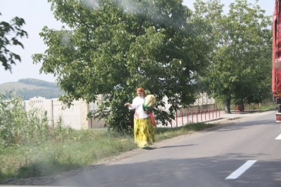 IMG_6411_новый размер.JPG