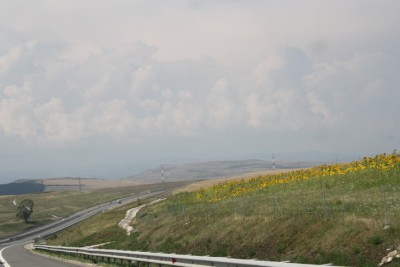 IMG_6435_новый размер.JPG