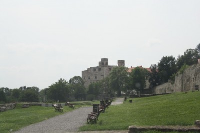 IMG_6575_новый размер.JPG