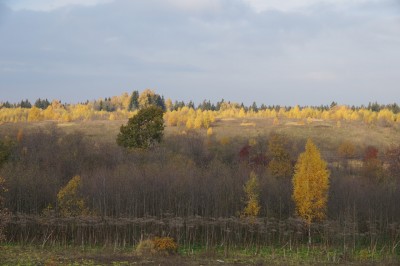 Золотая осень - октябрь 2014 г.