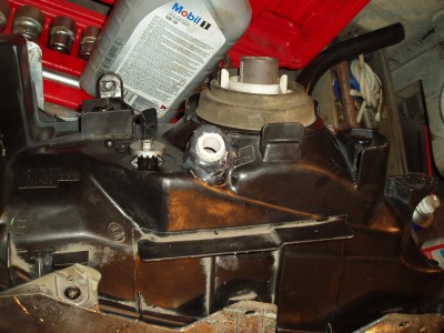 P1250014.JPG