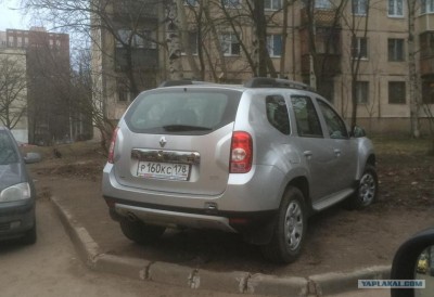 4099551.jpg