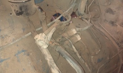 IMAG1106.jpg
