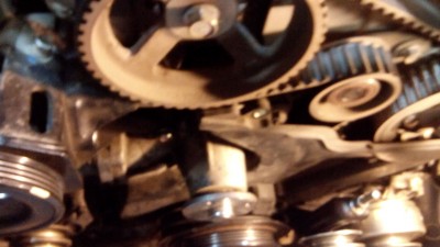 IMG_20141018_122839.jpg