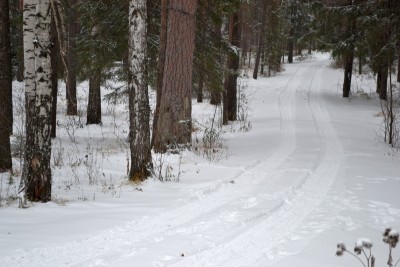 DSC_0006.JPG