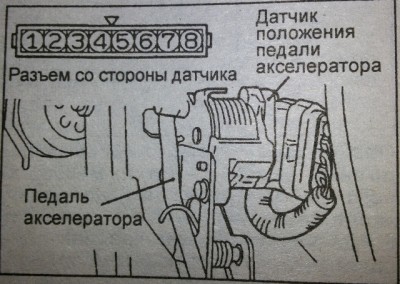 разъем датчика положения педали акселератора.jpg