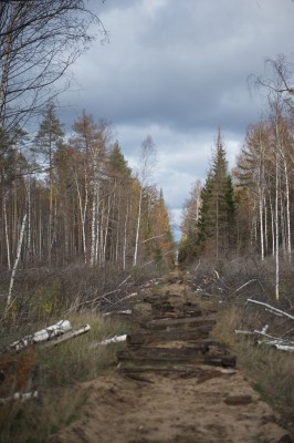 DSC_9272.jpg