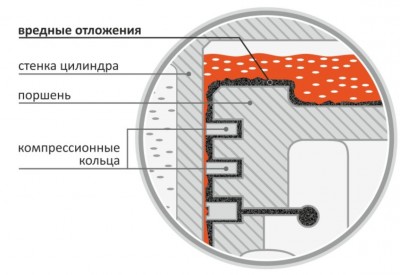 LAVR-1.JPG