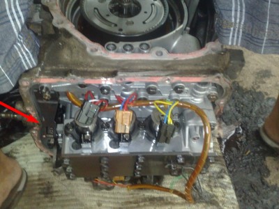 3b16d24s-960.jpg