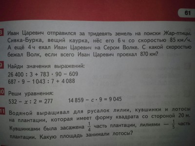 Задача по Сивку Бурку