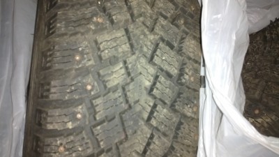 IMG_20130524_071403.jpg
