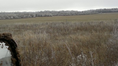 021120141011.jpg