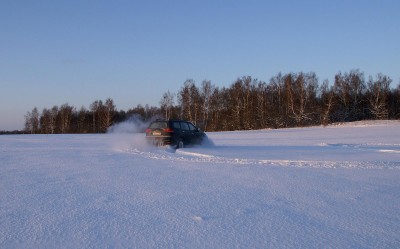 tigra_2_copy.jpg