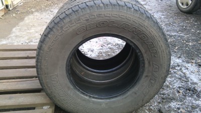 IMG_20141105_092439.jpg