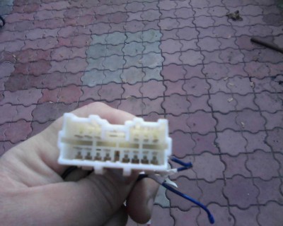 IMG0257A.jpg