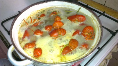 IMAG0103.jpg
