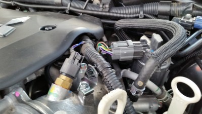 20141026_161516.jpg