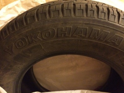 IMG-20141117-WA0002.jpg