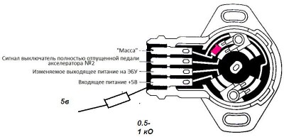 тпс.JPG
